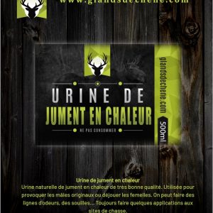 Urine de jument en chaleur