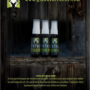 Urine d'orignal mâle