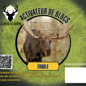 Activateur de blocs - érable