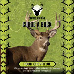 Corde à Buck
