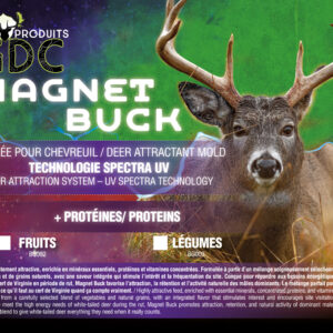 Magnet Buck